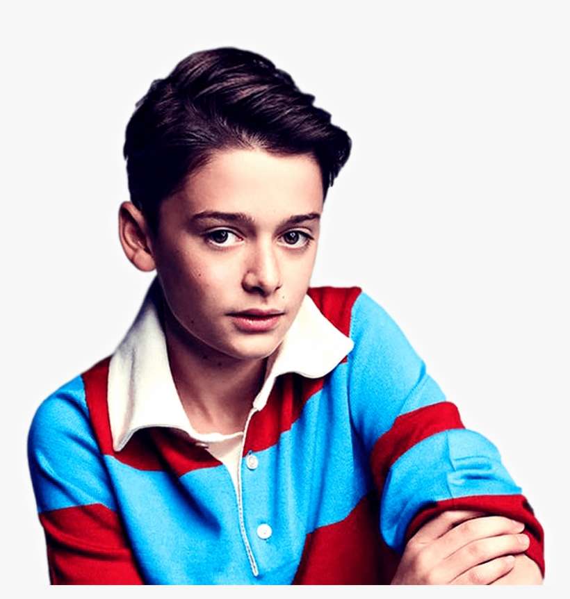 Celebrity Information - Noah Schnapp, transparent png download