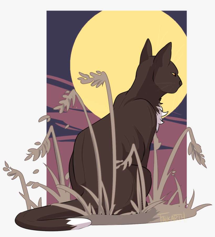 A Quick Ravenpaw, Perhaps He's Looking Towards - Ravenpaw Fanart, transparent png download