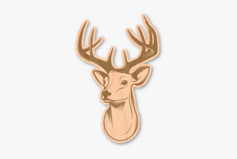 Download Drawing Deer Head Png Image Transparent Png Free Download On Seekpng