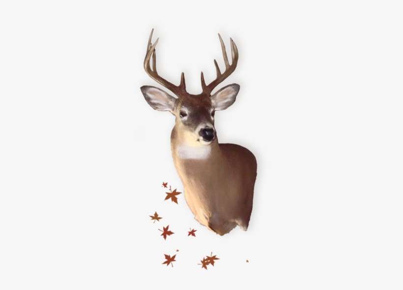 2262 Sardis Road - Forever Autumn Leaves Ochre 3 15" Laptop Sleeve, transparent png download