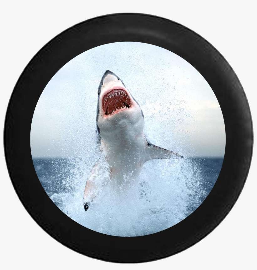 Great White Jaws Ocean Predator Shark Attack Rv Camper - Great White Shark, transparent png download