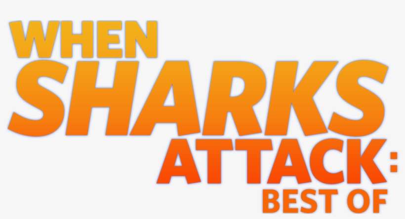 Watch When Sharks Attack - När Hajar Attackerar, transparent png download