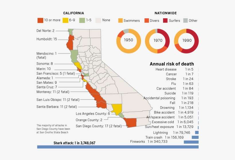 Tibsl Buubdlt Cz Uif Ovncfst - Shark Attacks In California 2017, transparent png download