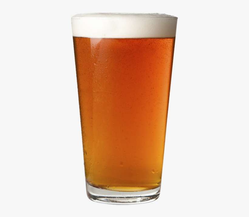 Shark Attack Xpa - Amber Beer, transparent png download