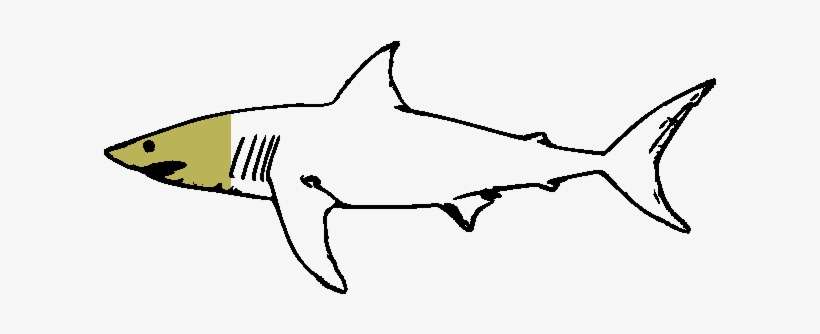 Award - - Great White Shark Clip Art, transparent png download