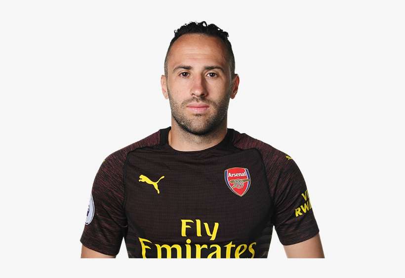Net Worth, House, Car, Salary, Wife & Family - Arsenal Home Kit 18 19 Long Sleeve, transparent png download