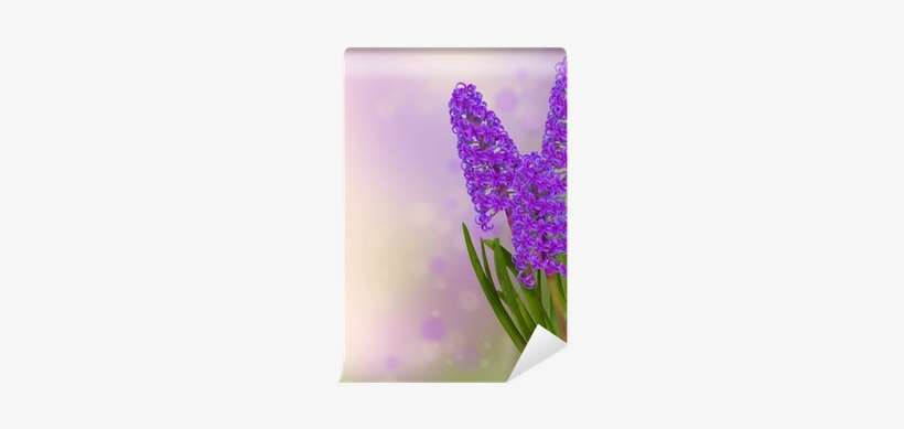 Purple Flowering Hyacinth Border Wall Mural • Pixers® - Stock Illustration, transparent png download