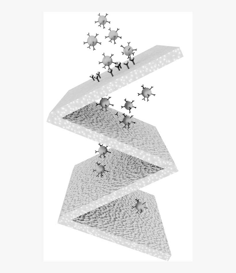 We Are Developing Biosensors That Enable Detecting - Paper, transparent png download