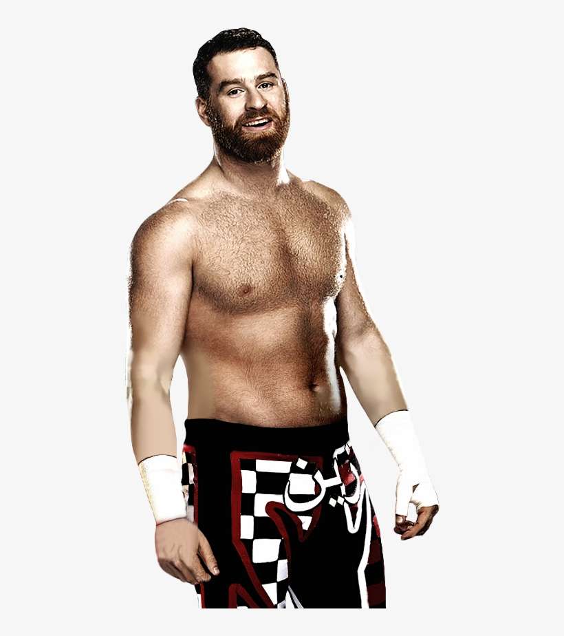Sami Zayn Fondo De Pantalla, transparent png download