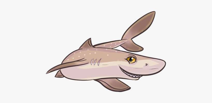 A Bundle With All Of Our Shark Merchandise All 4 Vinyl - Tiger Shark, transparent png download