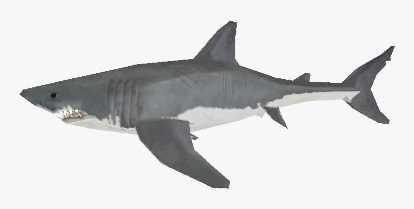 Download Zip Archive - Zoo Tycoon 2 Great White Shark, transparent png download