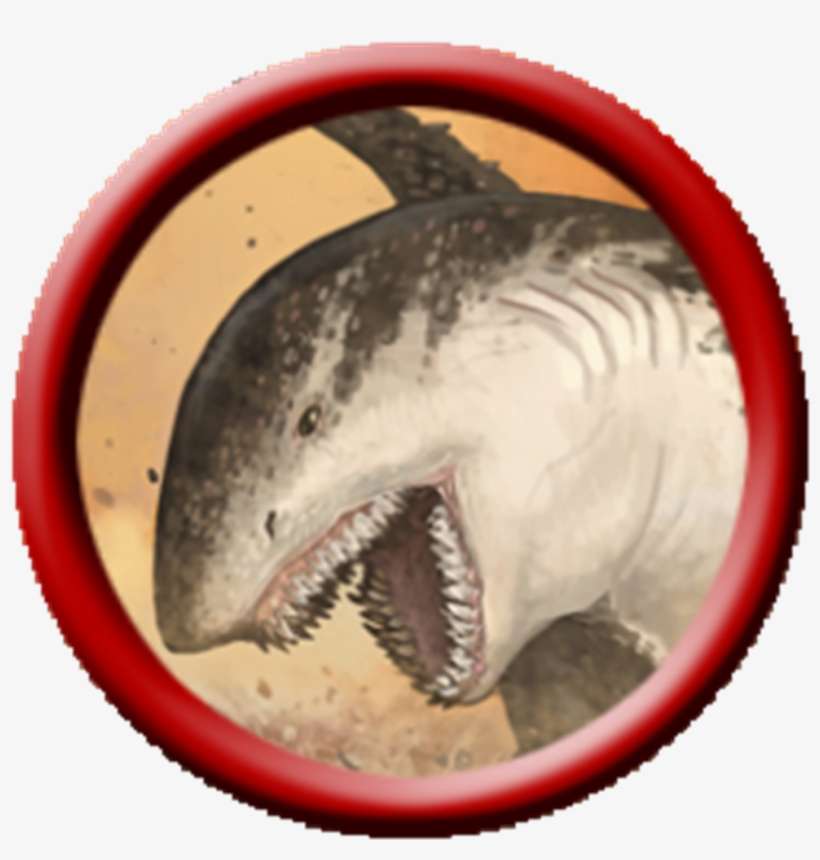 Sand Shark Monsters Homebrew Beyond Png Avatar Png - Sand Shark Fantasy, transparent png download