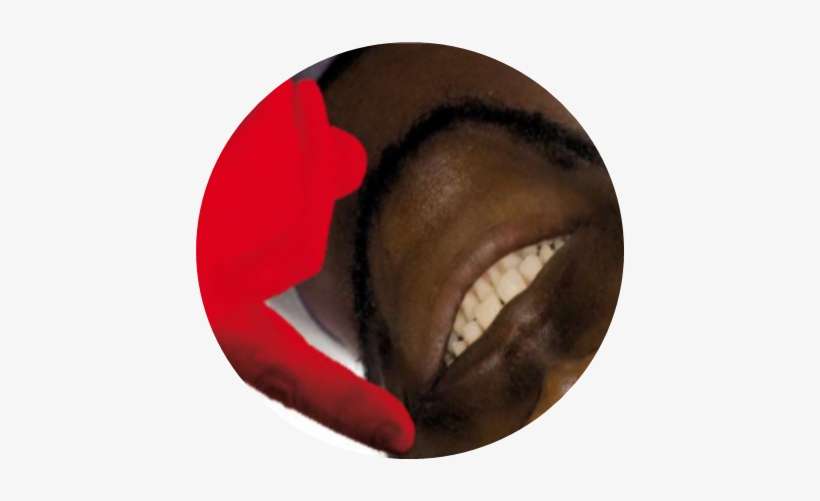 Nouvelle Image 13 - Tiger Shark, transparent png download