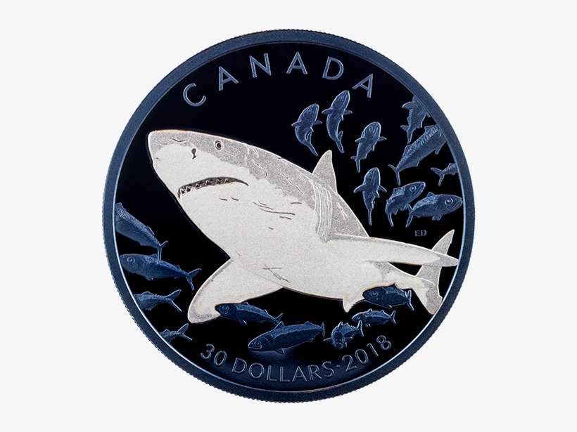 Pure Silver Coin With Selective Blue Rhodium Plating - Great White Shark, transparent png download