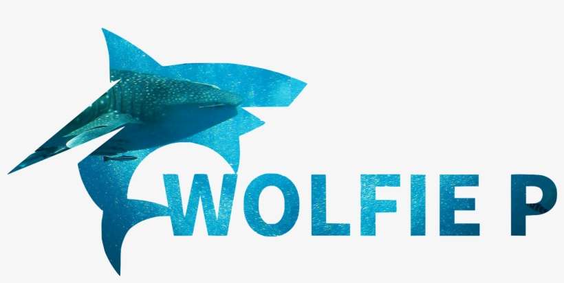 Great White Shark Conservation Program - Conservation, transparent png download