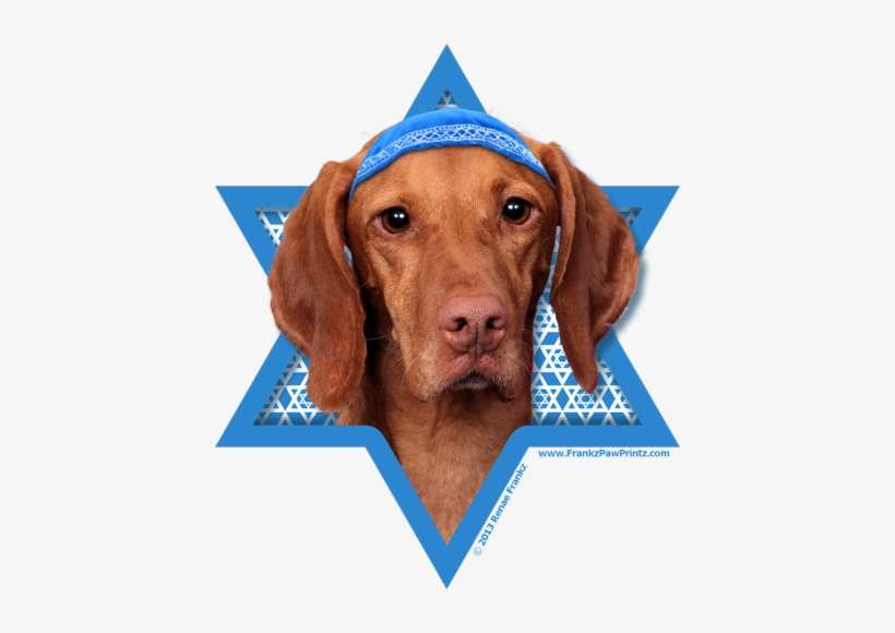To Add A Little Fun, I Placed A Matching Yamaka On - Chanukka-davidsstern - Vizsla - Reagan Karte, transparent png download