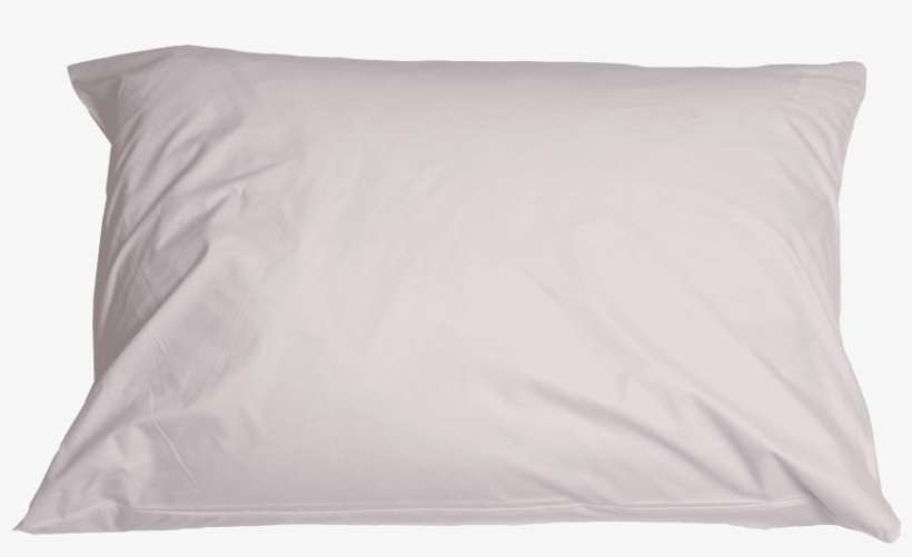 Free Png Pillow Png Images Transparent - Pillow Png, transparent png download
