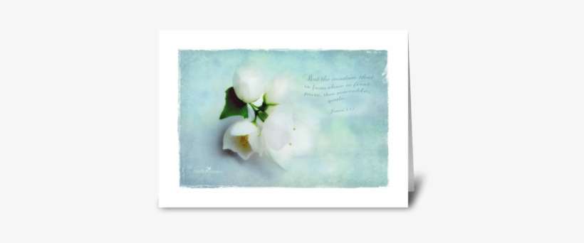 Wisdom From Above Greeting Card - Greeting Card, transparent png download