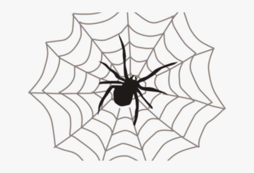 Spider Clipart Web - Spider Clipart, transparent png download