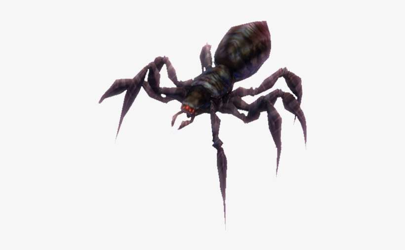 Black Widow - Wolf Spider, transparent png download