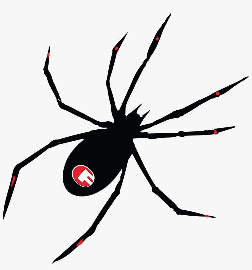 Spider Decal-02 - Schwarzes Widow.png Karte, transparent png download