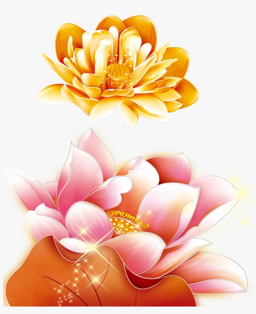 Nelumbo Nucifera Red Golden Transprent Png Free - Background Trung Thu Vector, transparent png download