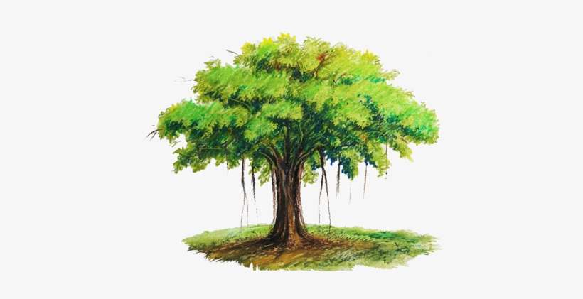 But Most Of All, We Are An Enthusiastic Bunch Of People - Tree Drawing In Pastel, transparent png download