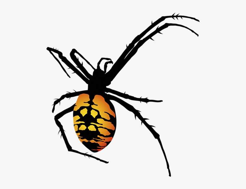 Bleed Area May Not Be Visible - Black And Yellow Spider Png, transparent png download
