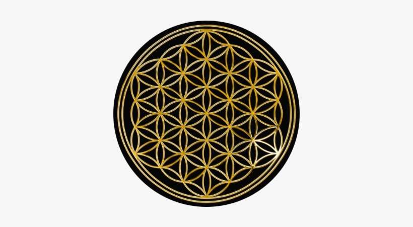 Gold Flower Png When You Sign Up For One Of Our Workshops - Flower Of Life Gold, transparent png download