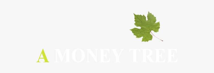 Home - Guiana Chestnut, transparent png download