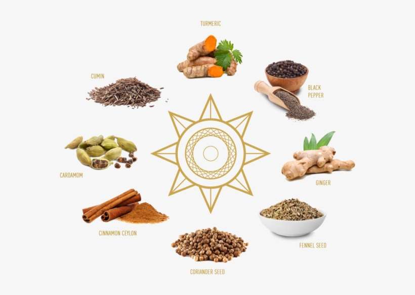 Gold Spice - Infographic - Ieovo 8-inch Wooden Pepper Mill, Brown, transparent png download