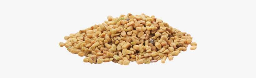 Fenugreek Seeds - Coconut Milk And Fenugreek For Shiny Hair, transparent png download