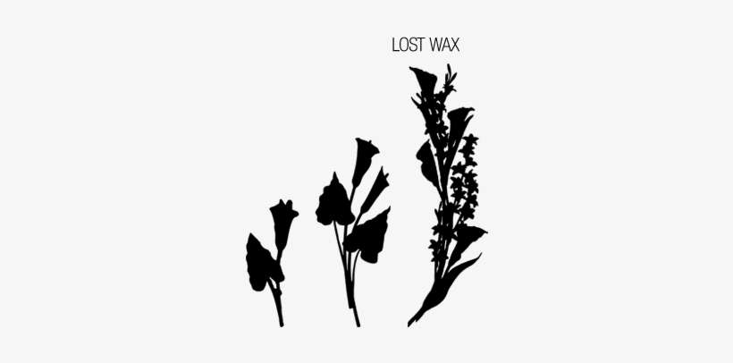 Caggiati Calla Lilies Proposal In Different Versions - Lily, transparent png download