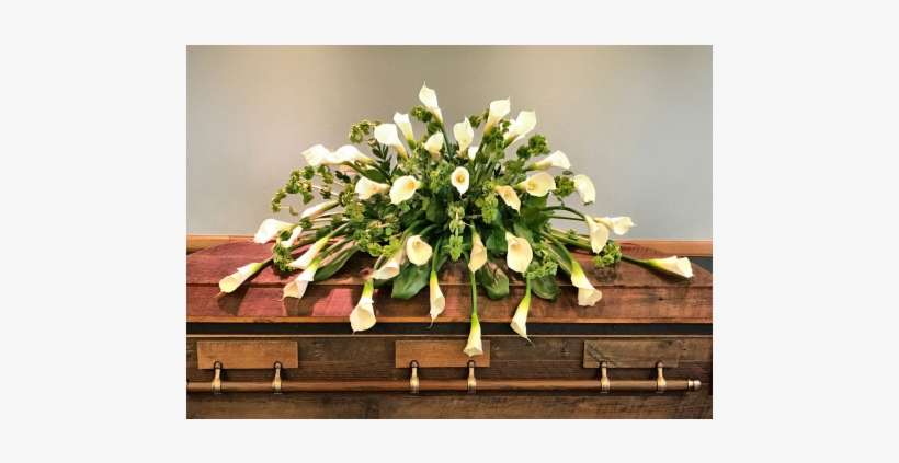 Calla Lily Casket - Lily, transparent png download