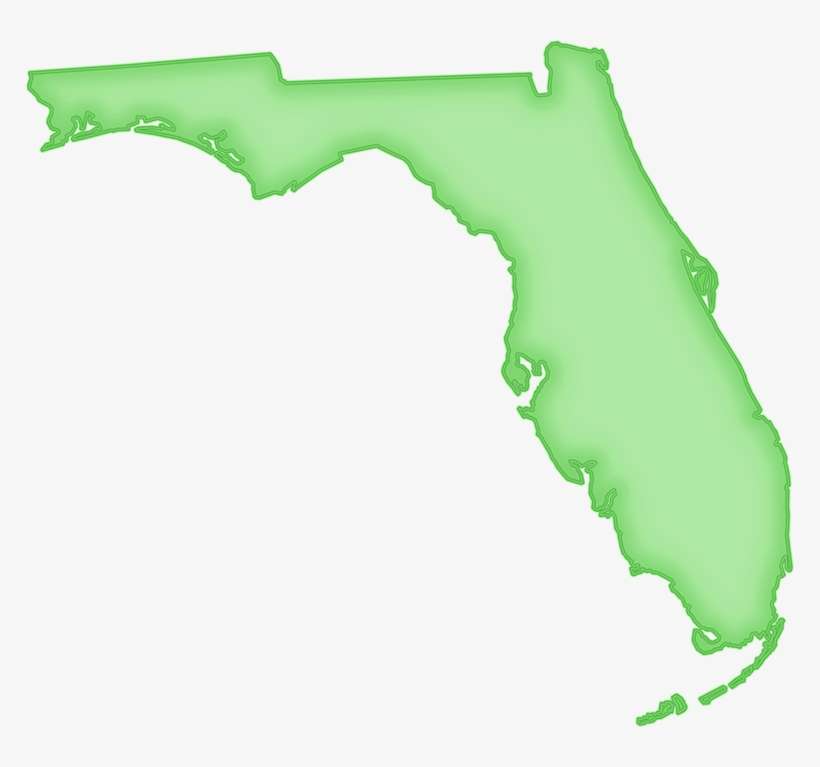 For Help With Png Maps, Or Deciding Which Format Of - Cartoon Pic Of Florida, transparent png download