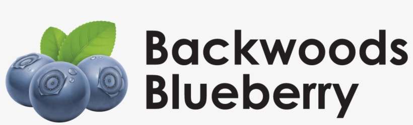 Wonderful Blueberry Flavor Straight From The American - Skipping Breakfast, transparent png download