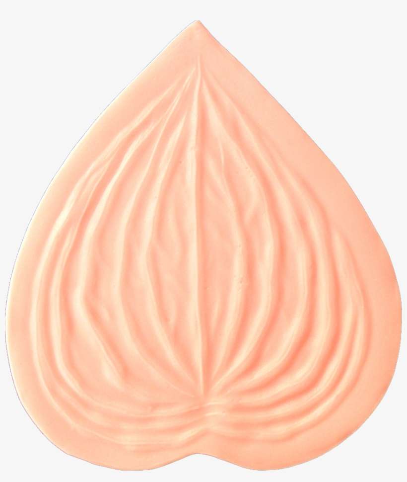 Calla Lily - Lily, transparent png download