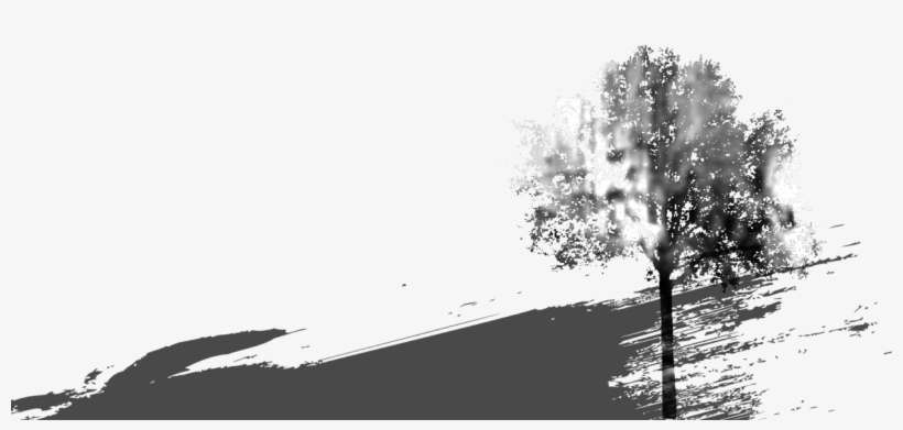 For Your Creation - Art Print: Allen's Tree Silhouette Gold 3, 13x13in., transparent png download