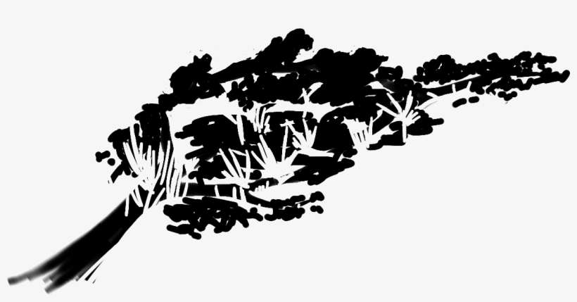 Bg Tree Shadow 1 - Тень От Деревьев Пнг, transparent png download