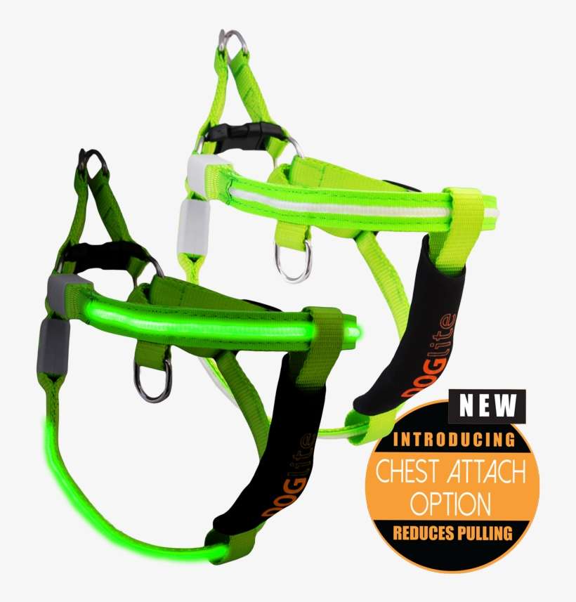 Mini Dog Led Dog Harness - Pet Harness, transparent png download