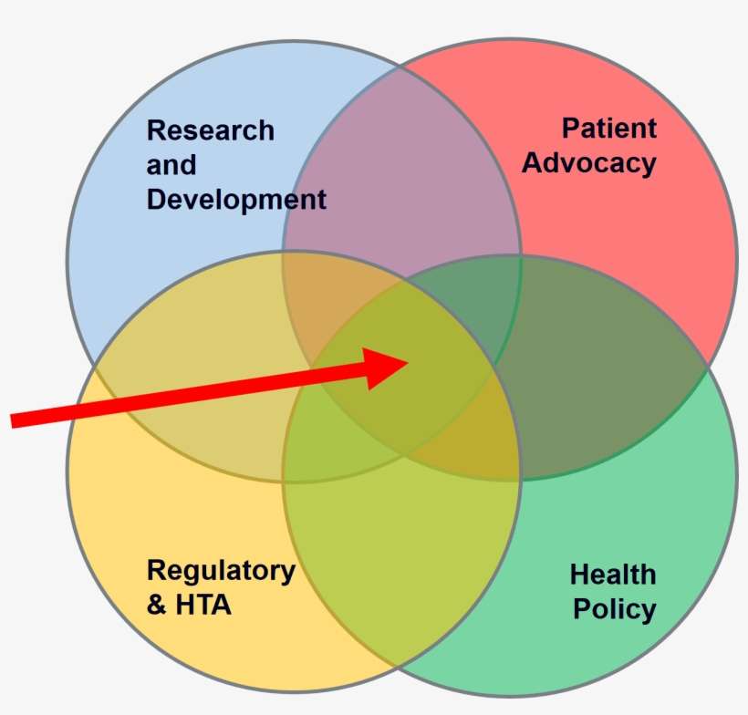 Patient Organisations Play A Crucial Role In The Three - Circle, transparent png download