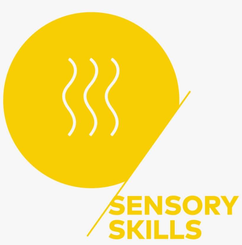 Sca Sensory, transparent png download