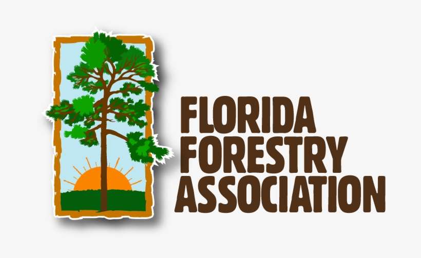 American Tree Farm System - Florida Forestry Association, transparent png download