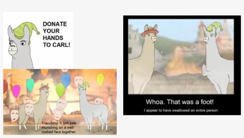 Llamas With Hats- Everyone Loves Carl - Llamas With Hats, transparent png download