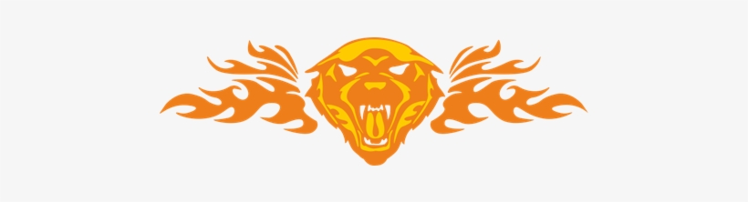 Vinilo Decorativo Tattoo Cabeza De Lobo En Llamas - Tiger Flames Shower Curtain, transparent png download