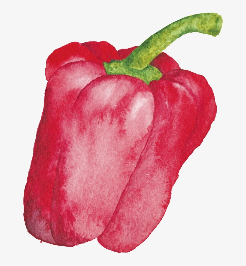 Red Hand-painted Cartoon Vegetable Kitchen Transparent - Vegetable, transparent png download