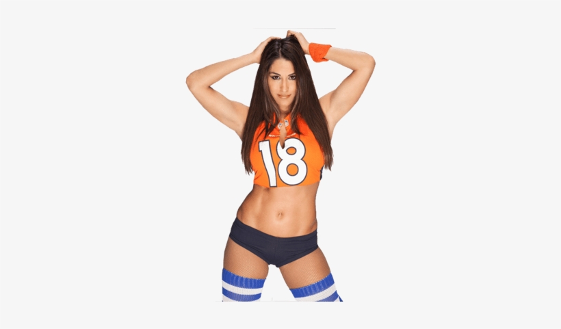 Https - //i0 - Wp - Com/images - Vectorhq - Com/ - Nikki Bella White Background, transparent png download