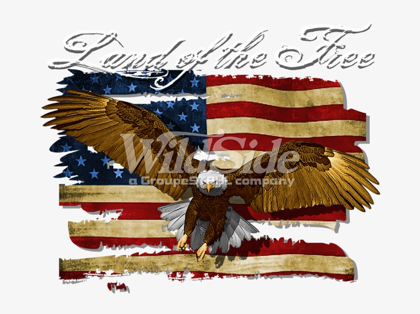 Land Of The Free - T-shirt, transparent png download