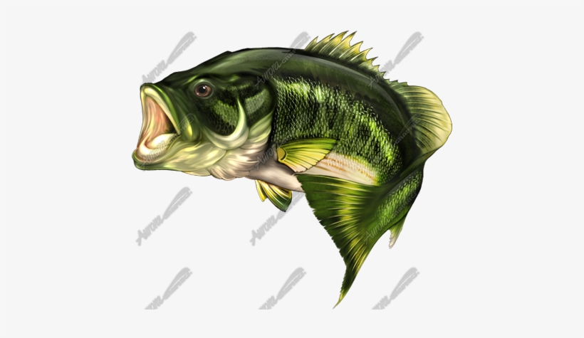 Largemouth Bass - Largemouth Bass Rebel Flag, transparent png download