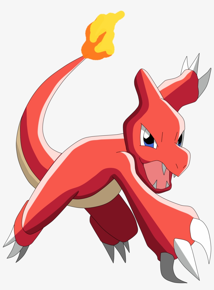 Avalanche Designs Web Design Kerry Cork Limerick - Pokemon Charmeleon, transparent png download